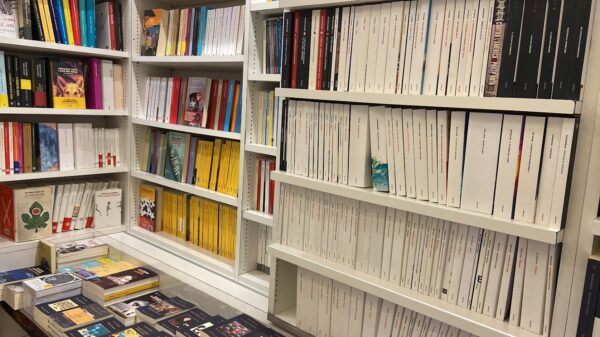 dettaglio libiri negli scaffali